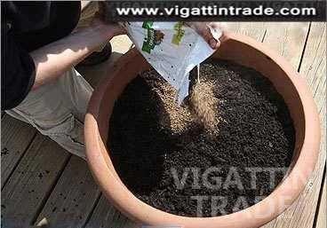 Vigattintrade Mobile