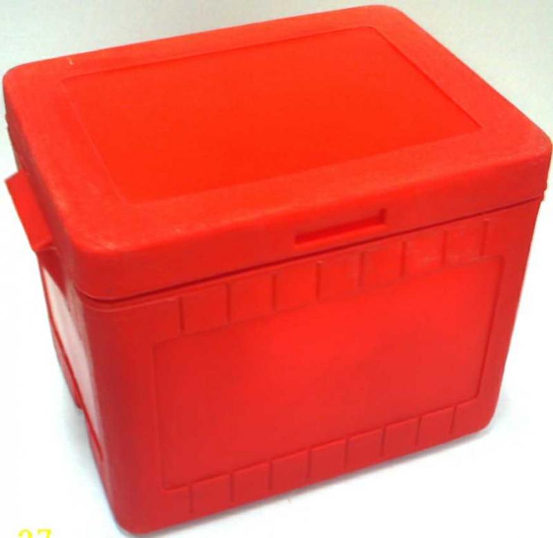 Plastic ice chest cooler Vigattin Trade