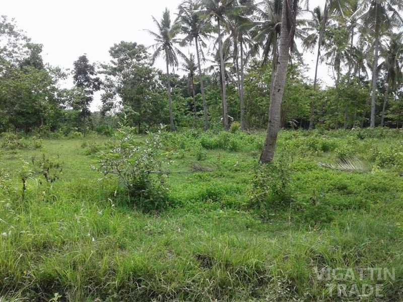 2700 sqm Commercial lot san lorenzo Guimaras - Vigattin Trade